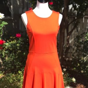 Harve Bernard Sleeveless Fit and Flare Dress